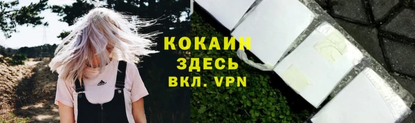 ПСИЛОЦИБИНОВЫЕ ГРИБЫ Лиски