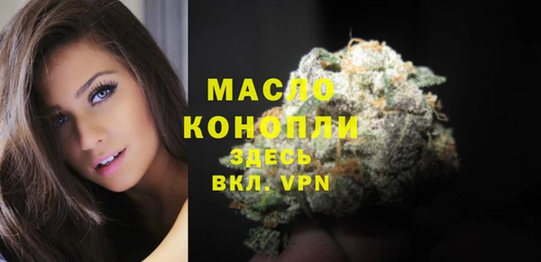 хмурый Ладушкин