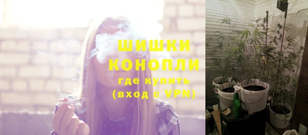 Альфа ПВП Лагань