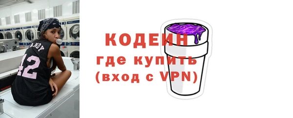хмурый Ладушкин