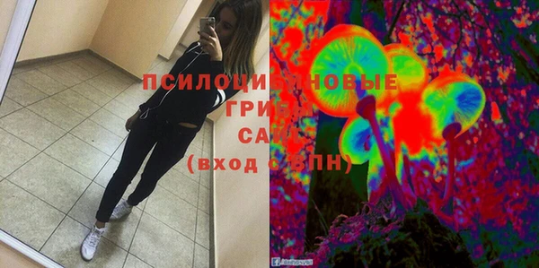 стаф Свободный