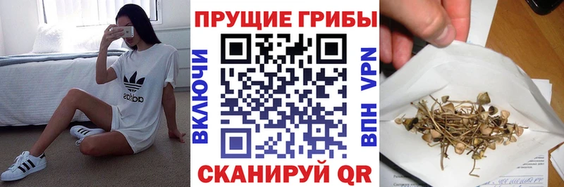 Псилоцибиновые грибы GOLDEN TEACHER  Фрязино 