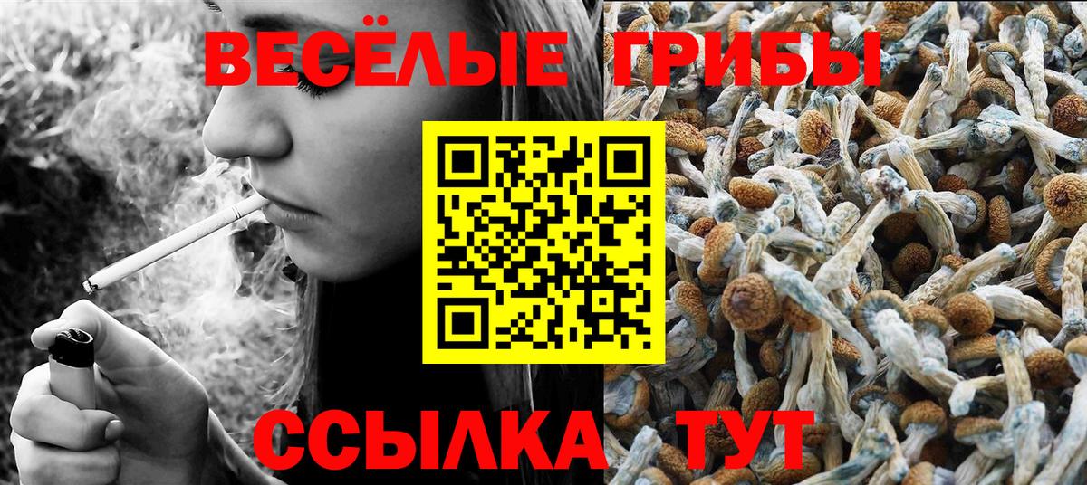 Галлюциногенные грибы Psilocybe Фрязино