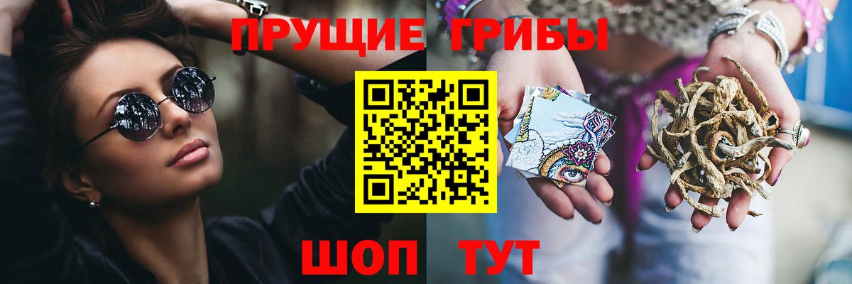 Фрязино  Галлюциногенные грибы Magic Shrooms  Вход с VPN  Псилоцибиновые грибы Psilocybine cubensis 